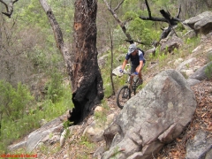 20070114-Coba 304 